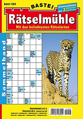 Rätselmühle Abo Titelbild