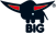 BIG