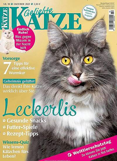 Geliebte Katze im Abo