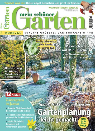 mein schöner Garten Abo) "mit" "Top" Prämien "Zeitschriften" Abos