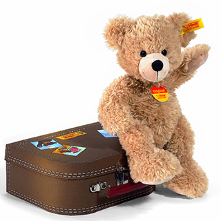 Fynn Teddybär im Koffer als Prämie für Ihr Zeitschriften-Abo